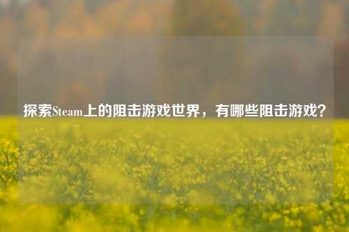 探索Steam上的阻击游戏世界，有哪些阻击游戏？