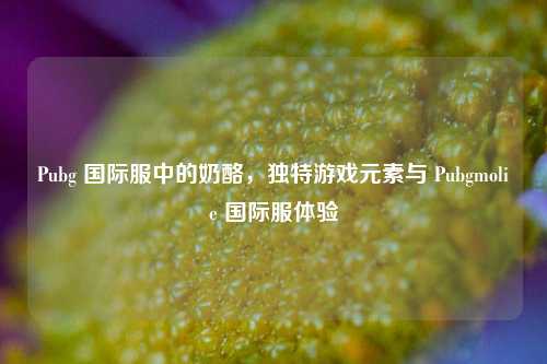 Pubg 国际服中的奶酪，独特游戏元素与 Pubgmolie 国际服体验