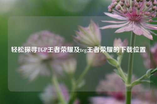 轻松探寻TGP王者荣耀及tcg王者荣耀的下载位置