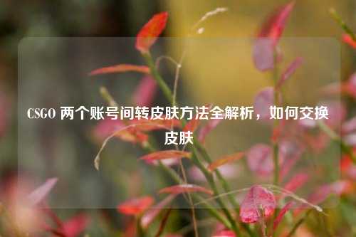 CSGO 两个账号间转皮肤方法全解析，如何交换皮肤