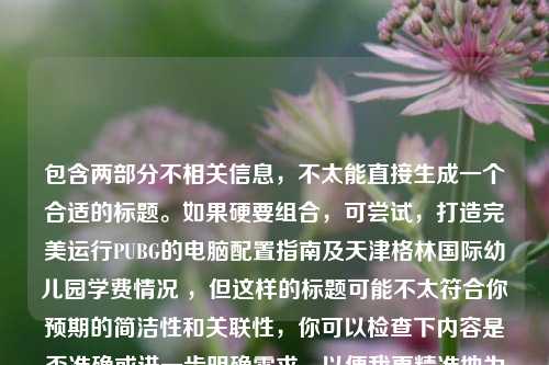 包含两部分不相关信息，不太能直接生成一个合适的标题。如果硬要组合，可尝试，打造完美运行PUBG的电脑配置指南及天津格林国际幼儿园学费情况 ，但这样的标题可能不太符合你预期的简洁性和关联性，你可以检查下内容是否准确或进一步明确需求，以便我更精准地为你提供帮助。