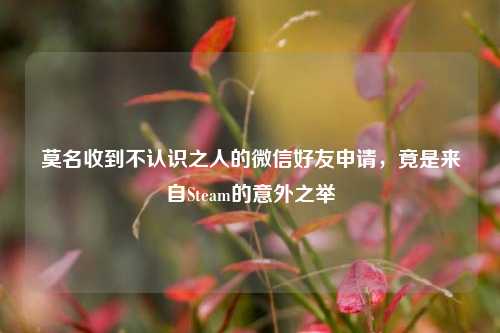 莫名收到不认识之人的微信好友申请，竟是来自Steam的意外之举