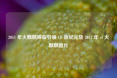 2011 年火麒麟降临引领 CF 新纪元及 2012 年 cf 火麒麟图片
