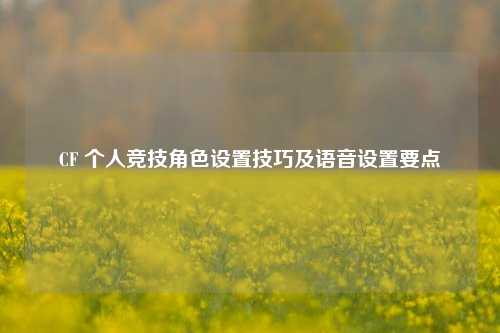 CF 个人竞技角色设置技巧及语音设置要点