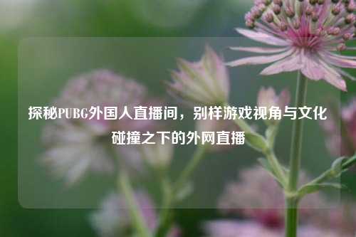 探秘PUBG外国人直播间,别样游戏视角与文化碰撞之下的外网直播