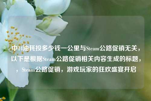 中14油耗投多少钱一公里与Steam公路促销无关，以下是根据Steam公路促销相关内容生成的标题，，Steam公路促销，游戏玩家的狂欢盛宴开启