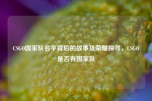 CSGO国家队名字背后的故事及荣耀探寻,CSGO是否有国家队