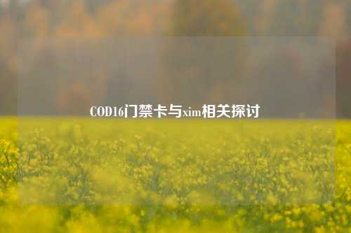 COD16门禁卡与xim相关探讨