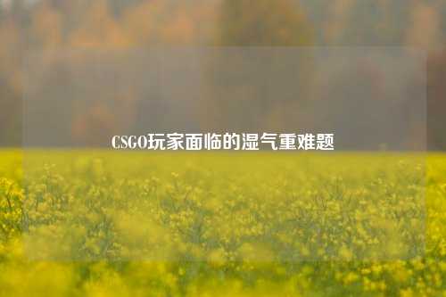 CSGO玩家面临的湿气重难题