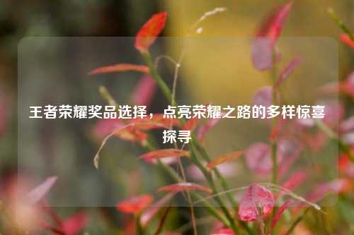 王者荣耀奖品选择，点亮荣耀之路的多样惊喜探寻