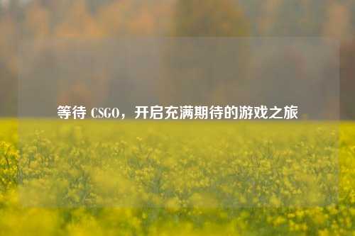 等待 CSGO，开启充满期待的游戏之旅