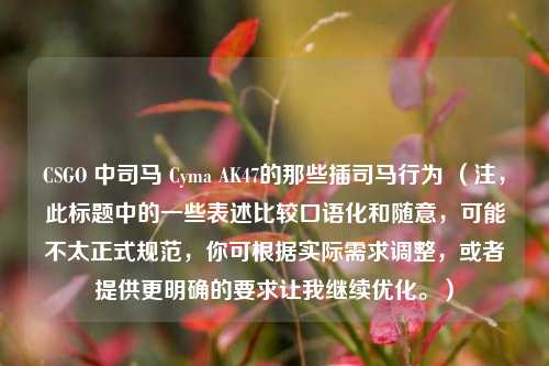 CSGO 中司马 Cyma AK47的那些插司马行为 （注，此标题中的一些表述比较口语化和随意，可能不太正式规范，你可根据实际需求调整，或者提供更明确的要求让我继续优化。）