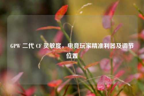 GPW 二代 CF 灵敏度，电竞玩家精准利器及调节位置