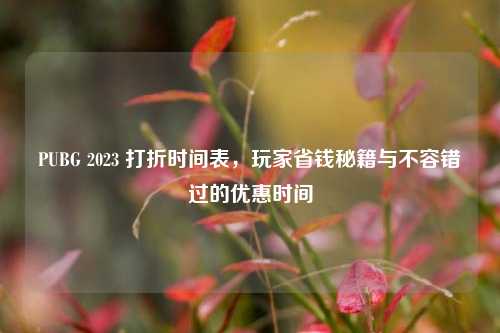 PUBG 2023 打折时间表，玩家省钱秘籍与不容错过的优惠时间