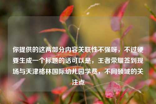 你提供的这两部分内容关联性不强呀，不过硬要生成一个标题的话可以是，王者荣耀签到现场与天津格林国际幼儿园学费，不同领域的关注点