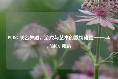 PUBG 联名舞蹈，游戏与艺术的激情碰撞——pubg YMCA 舞蹈
