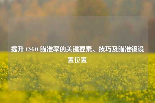 提升 CSGO 瞄准率的关键要素、技巧及瞄准镜设置位置