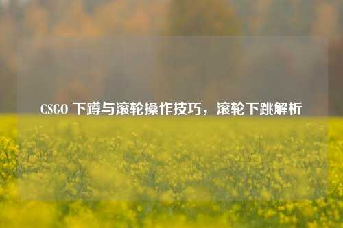 CSGO 下蹲与滚轮操作技巧,滚轮下跳解析