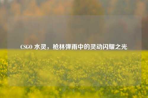 CSGO 水灵,枪林弹雨中的灵动闪耀之光