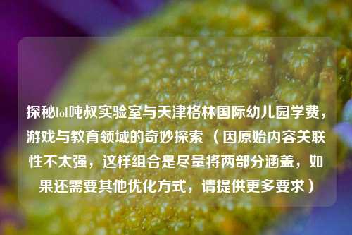 探秘lol吨叔实验室与天津格林国际幼儿园学费，游戏与教育领域的奇妙探索 （因原始内容关联性不太强，这样组合是尽量将两部分涵盖，如果还需要其他优化方式，请提供更多要求）