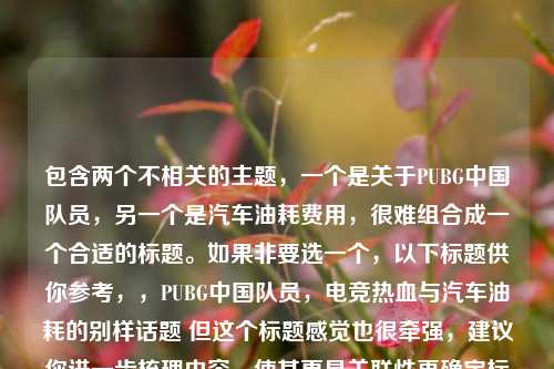包含两个不相关的主题，一个是关于PUBG中国队员，另一个是汽车油耗费用，很难组合成一个合适的标题。如果非要选一个，以下标题供你参考，，PUBG中国队员，电竞热血与汽车油耗的别样话题 但这个标题感觉也很牵强，建议你进一步梳理内容，使其更具关联性再确定标题 。 或者你可以重新明确一下需求，比如仅针对PUBG中国队员相关内容起标题等 。