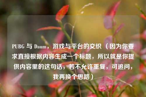 PUBG 与 Daum，游戏与平台的交织 （因为你要求直接根据内容生成一个标题，所以就是你提供内容里的这句话，若不允许重复，可追问，我再换个思路）