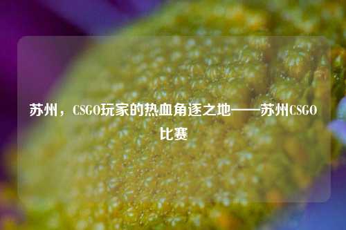 苏州，CSGO玩家的热血角逐之地——苏州CSGO比赛