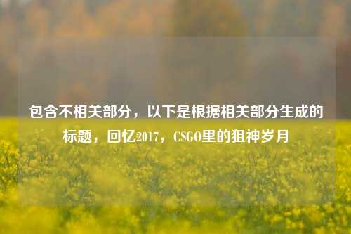 包含不相关部分，以下是根据相关部分生成的标题，回忆2017，CSGO里的狙神岁月