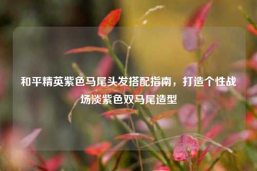 和平精英紫色马尾头发搭配指南，打造个性战场淡紫色双马尾造型