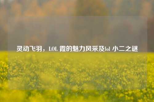 灵动飞羽,LOL 霞的魅力风采及lol 小二之谜