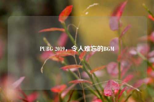 PUBG 2019,令人难忘的BGM
