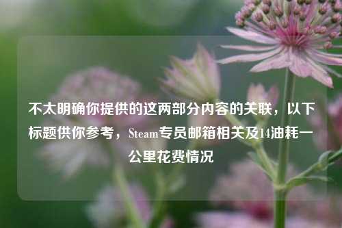 不太明确你提供的这两部分内容的关联，以下标题供你参考，Steam专员邮箱相关及14油耗一公里花费情况