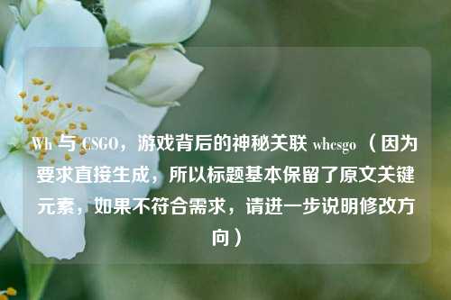 Wh 与 CSGO，游戏背后的神秘关联 whcsgo （因为要求直接生成，所以标题基本保留了原文关键元素，如果不符合需求，请进一步说明修改方向）