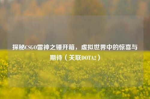 探秘CSGO雷神之锤开箱，虚拟世界中的惊喜与期待（关联DOTA2）