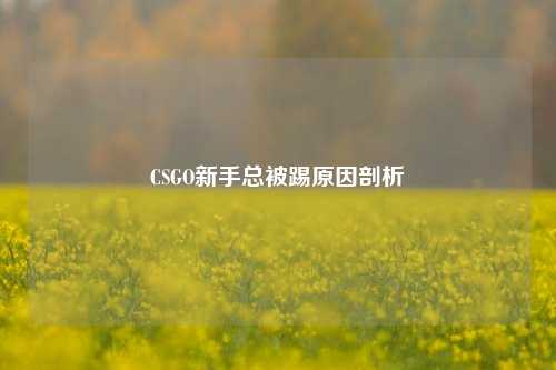 CSGO新手总被踢原因剖析