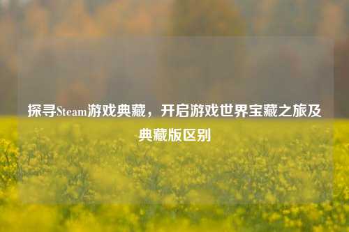 探寻Steam游戏典藏,开启游戏世界宝藏之旅及典藏版区别