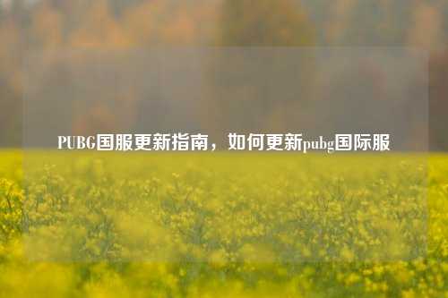 PUBG国服更新指南,如何更新pubg国际服