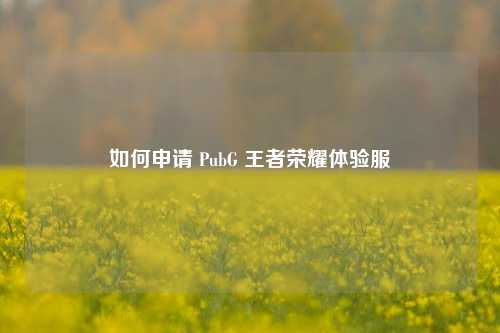 如何申请 PubG 王者荣耀体验服