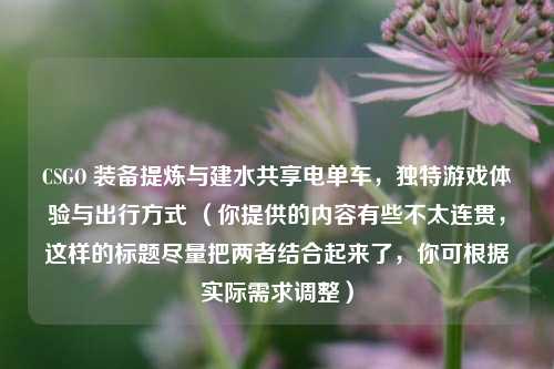CSGO 装备提炼与建水共享电单车，独特游戏体验与出行方式 （你提供的内容有些不太连贯，这样的标题尽量把两者结合起来了，你可根据实际需求调整）