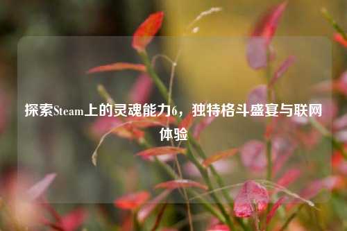 探索Steam上的灵魂能力6，独特格斗盛宴与联网体验