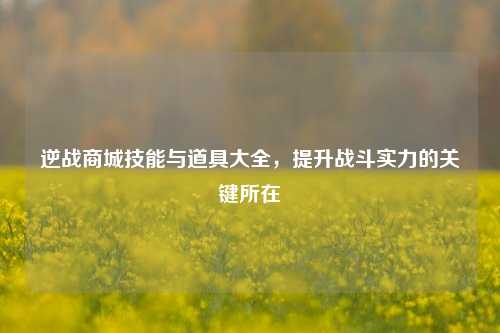 逆战商城技能与道具大全，提升战斗实力的关键所在