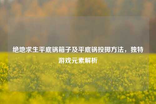绝地求生平底锅箱子及平底锅投掷方法，独特游戏元素解析