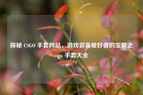 探秘 CSGO 手套网站,游戏装备爱好者的宝藏之csgo 手套大全