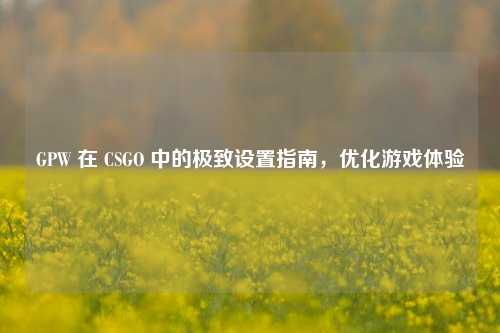 GPW 在 CSGO 中的极致设置指南，优化游戏体验