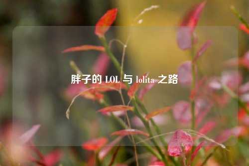 胖子的 LOL 与 lolita 之路