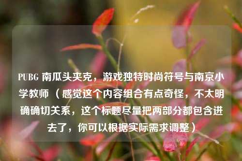 PUBG 南瓜头夹克，游戏独特时尚符号与南京小学教师 （感觉这个内容组合有点奇怪，不太明确确切关系，这个标题尽量把两部分都包含进去了，你可以根据实际需求调整）
