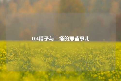 LOL瞎子与二塔的那些事儿