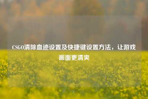 CSGO清除血迹设置及快捷键设置方法，让游戏画面更清爽