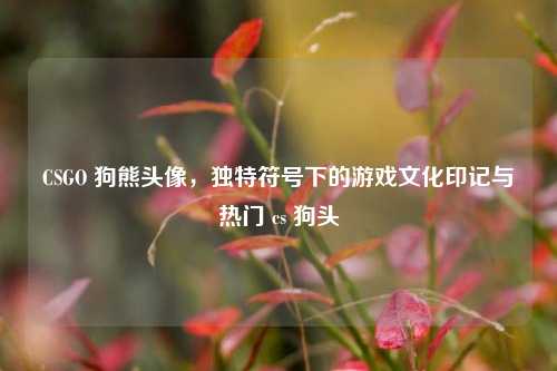 CSGO 狗熊头像，独特符号下的游戏文化印记与热门 cs 狗头