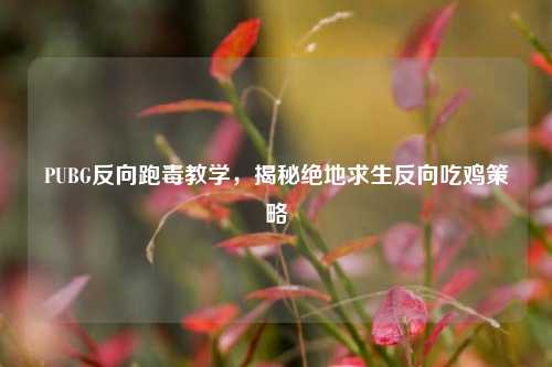 PUBG反向跑毒教学,揭秘绝地求生反向吃鸡策略
